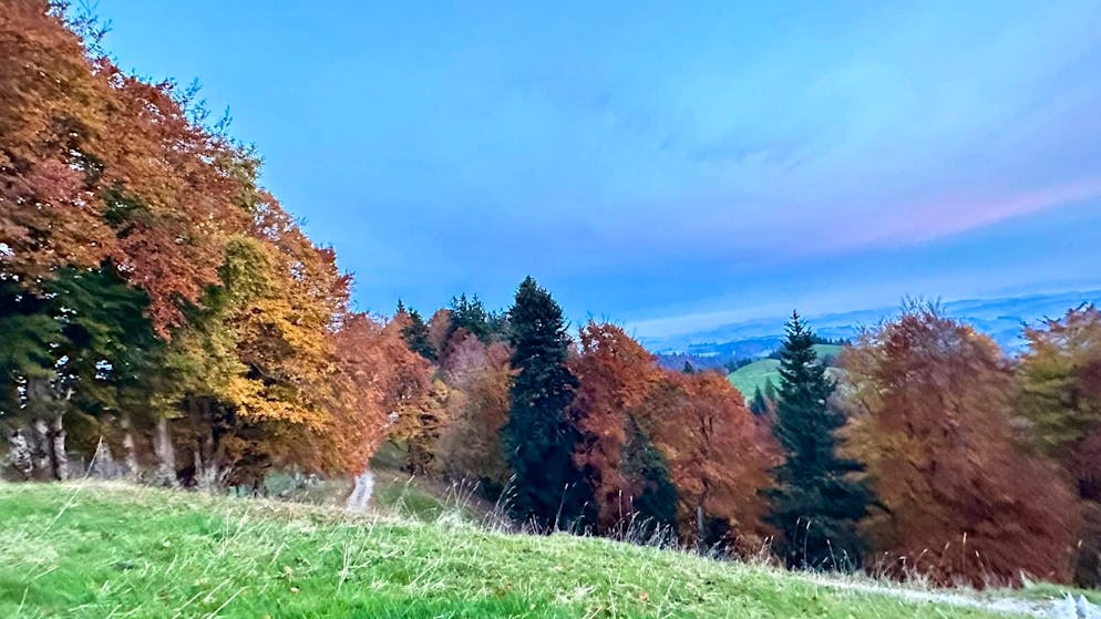 Herbstbilder 2025: Das sind die Bilder der blue News Leser*innen. ... bei Eriwsil BE, sondern ...
