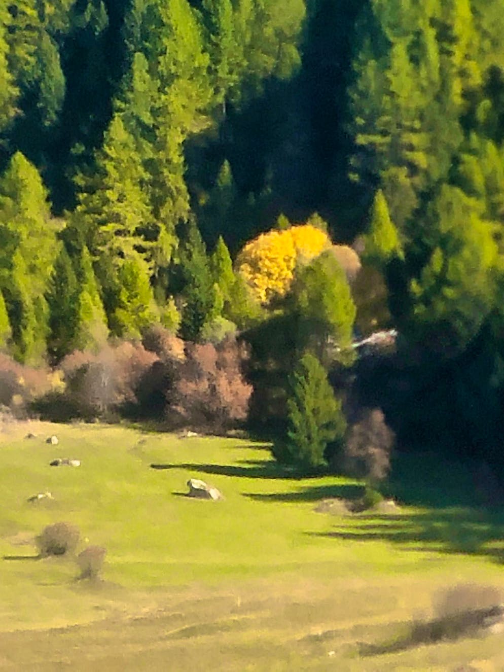 Autumn pictures 2025: These are the pictures of blue News readers. Walpi's picture looks like a painting!