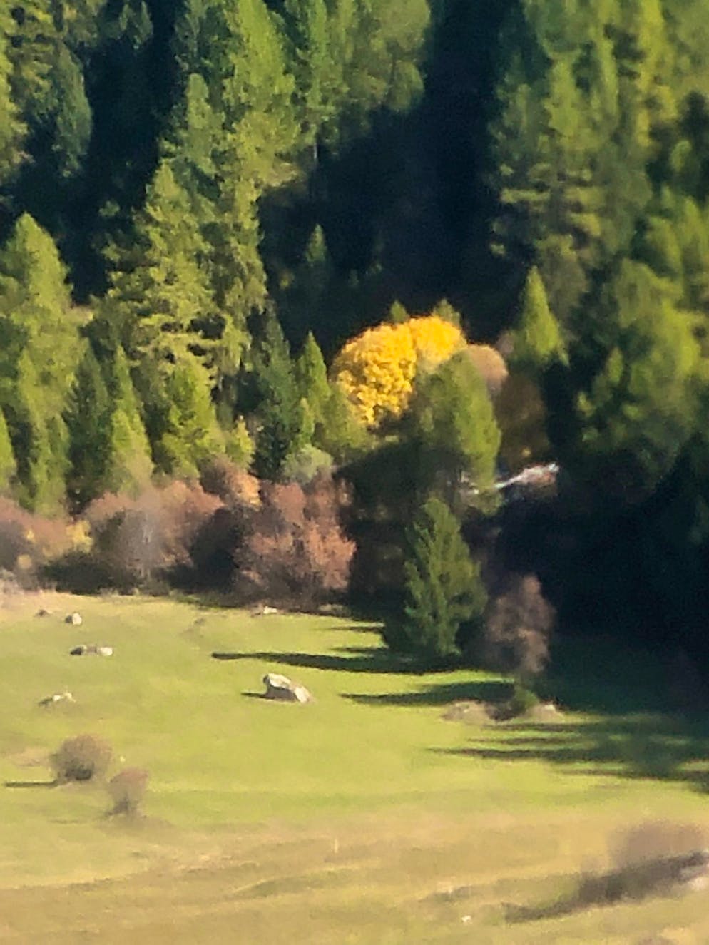 Herbstbilder 2025: Das sind die Bilder der blue News Leser*innen. Walpis Bild sieht wie ein Gemälde aus!