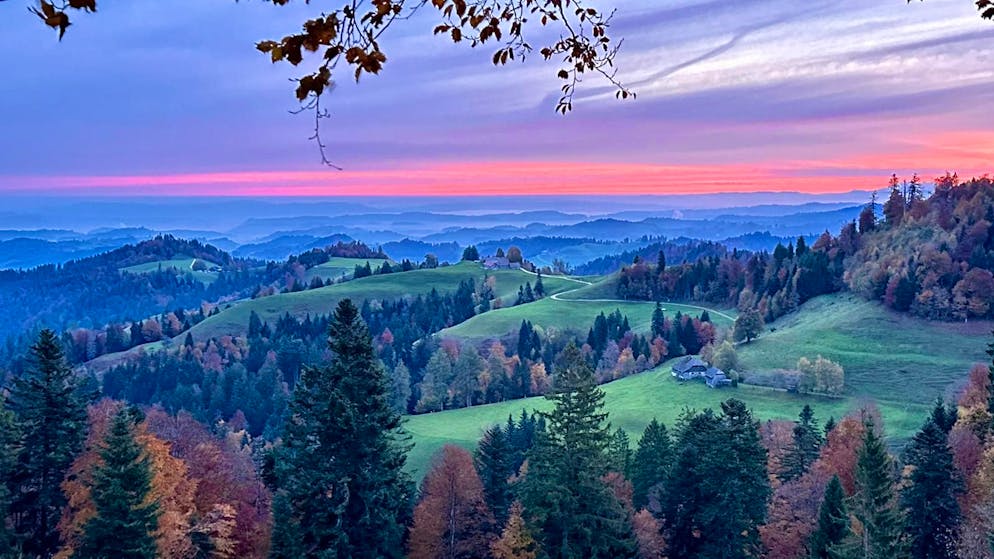 Herbstbilder 2025: Das sind die Bilder der blue News Leser*innen. Toni nimmt uns nicht mit auf eine Reise zur Ahornalp ...