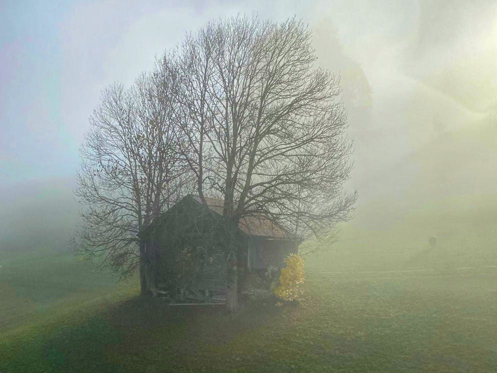 Autumn pictures 2025: These are the pictures of blue News readers. Autumn atmosphere in Gstaad