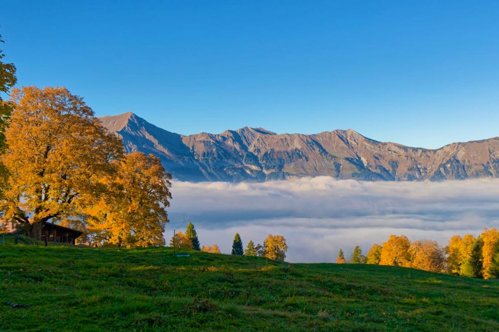 Herbstbilder 2025: Das sind die Bilder der blue News Leser*innen. ... die Giessbachfälle ...