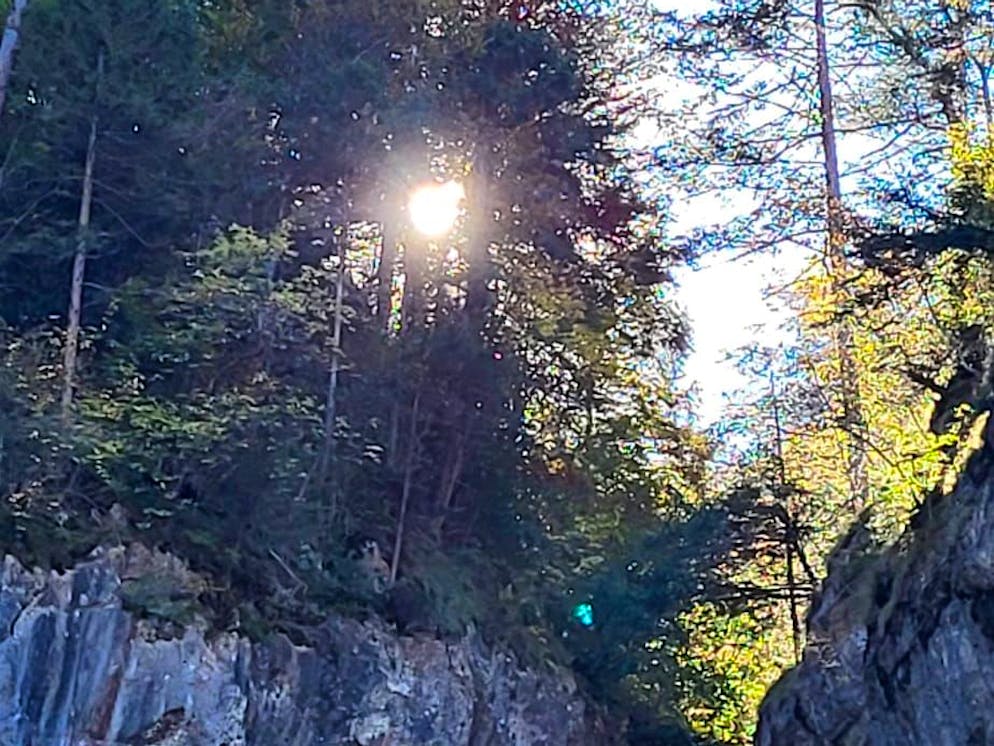 Herbstbilder 2025: Das sind die Bilder der blue News Leser*innen. ... und hier die Aareschlucht in Szene.