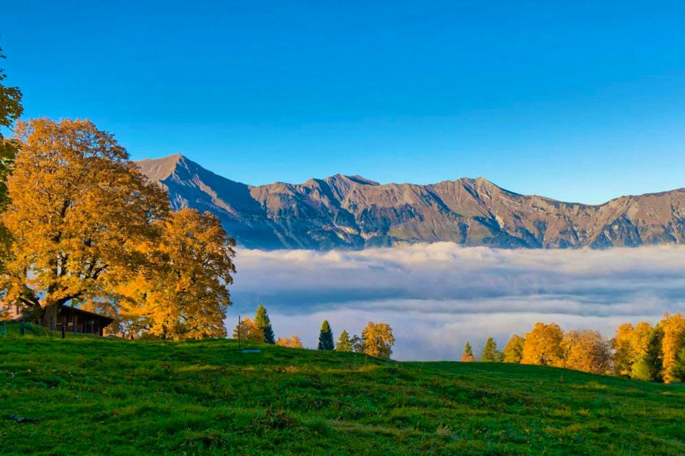 Autumn pictures 2025: These are the pictures of blue News readers. ... the Giessbach Falls ...