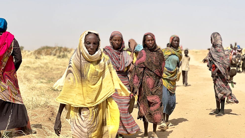 Des habitants d'El-Facher, dans l'ouest du Soudan, mangent désormais des peaux de vache pour survivre (image d’illustration).