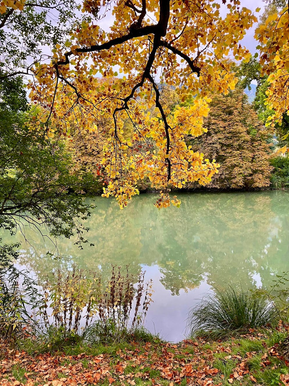 Herbstbilder 2025: Das sind die Bilder der blue News Leser*innen. Wunderschöne Herbststimmung in der Taminaschlucht. 
