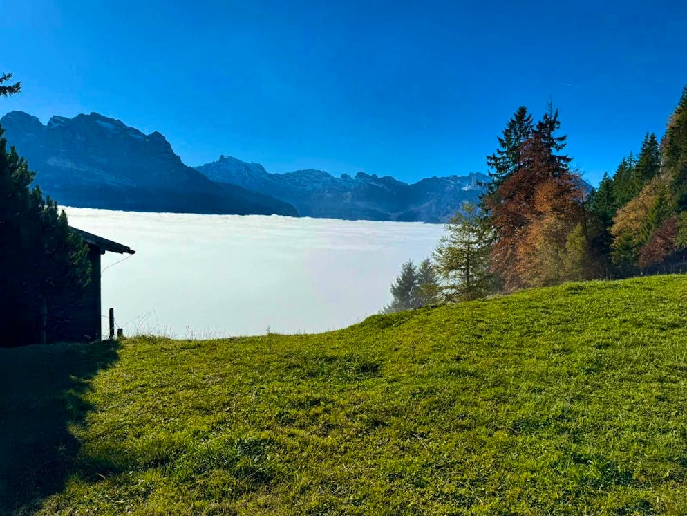 Autumn pictures 2025: These are the pictures of blue News readers. Martin looks down at the fog on the Gummenalp.