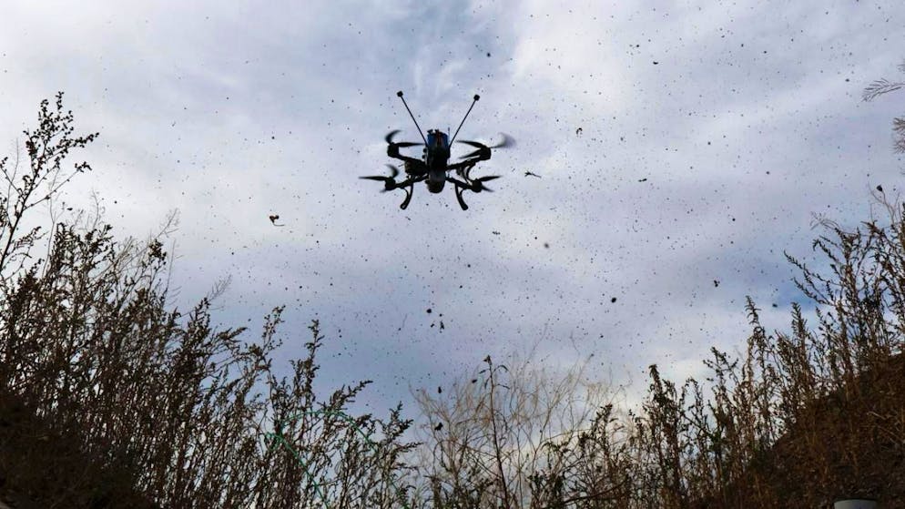 La Suisse doit se doter d'une défense contre les drones militaires rapidement, selon une commission parlementaire. A l'image, un drone de défense ukrainien dans la région de Zaporijia, le 8 octobre dernier (archives).