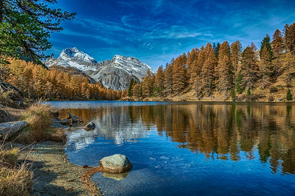 Herbstbilder 2025: Das sind die Bilder der blue News Leser*innen. Goldener Herbst am Palpuognasee im Graubünden.
