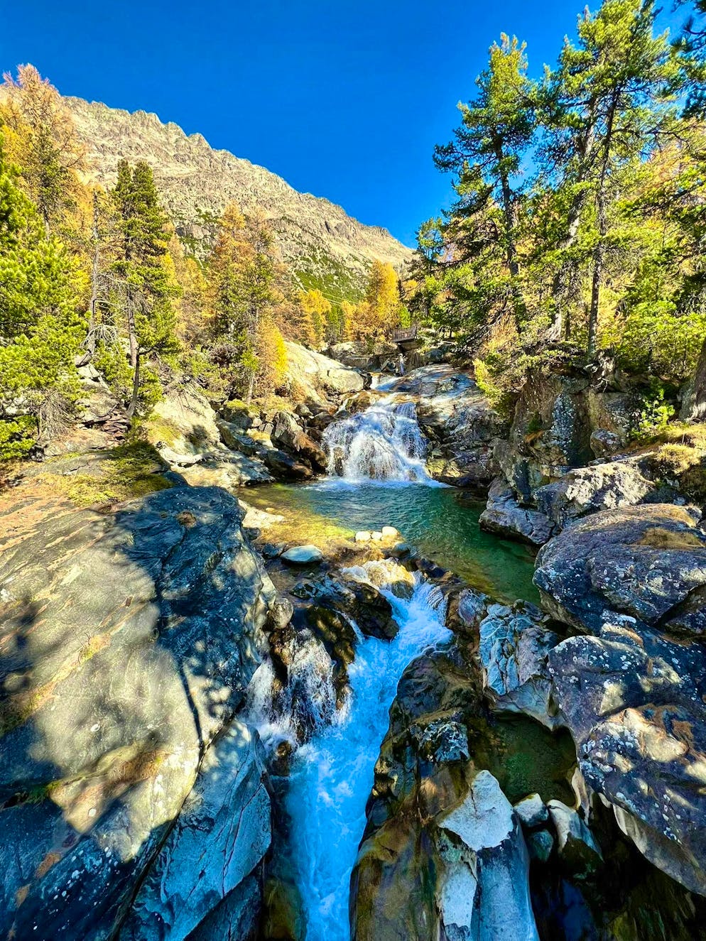 Autumn pictures 2025: These are the pictures of blue News readers. Autumn atmosphere in the Engadin. 