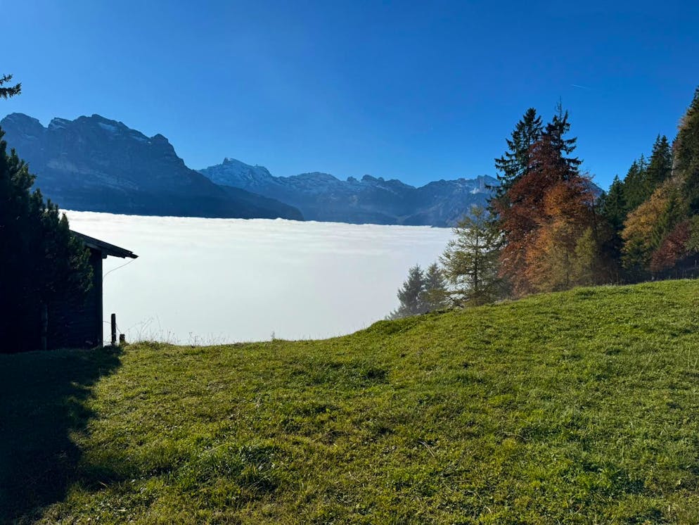 Herbstbilder 2025: Das sind die Bilder der blue News Leser*innen. Martin schaut auf der Gummenalp auf den Nebel runter.