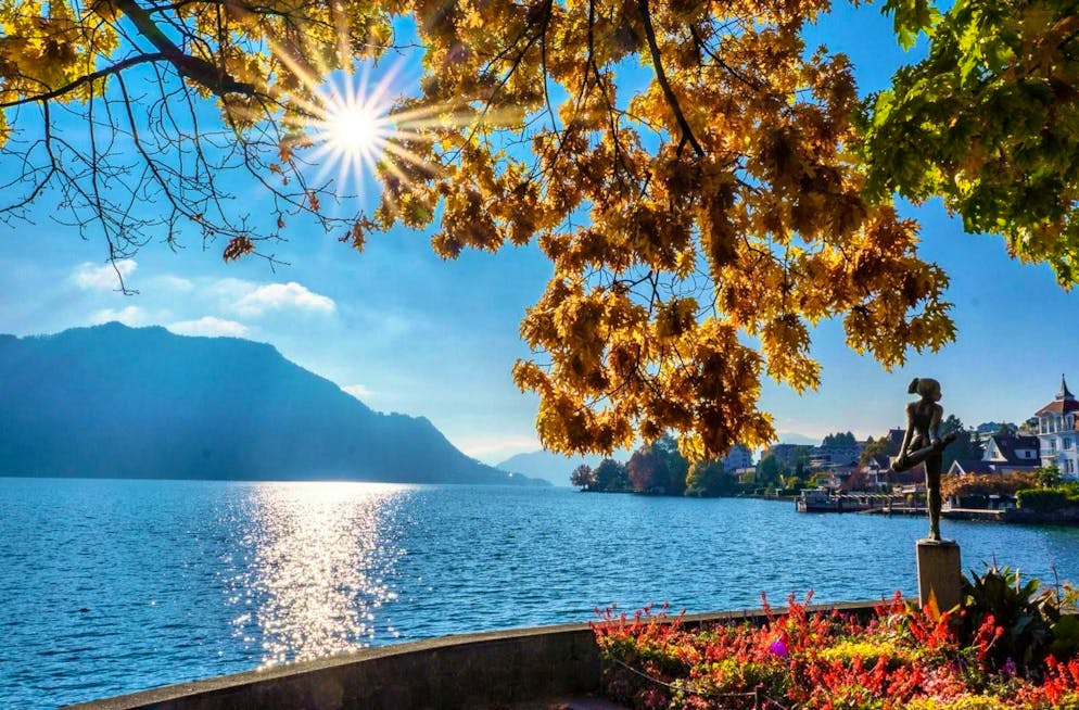 Autumn pictures 2025: These are the pictures of blue News readers. Wonderful fall atmosphere in Weggis.