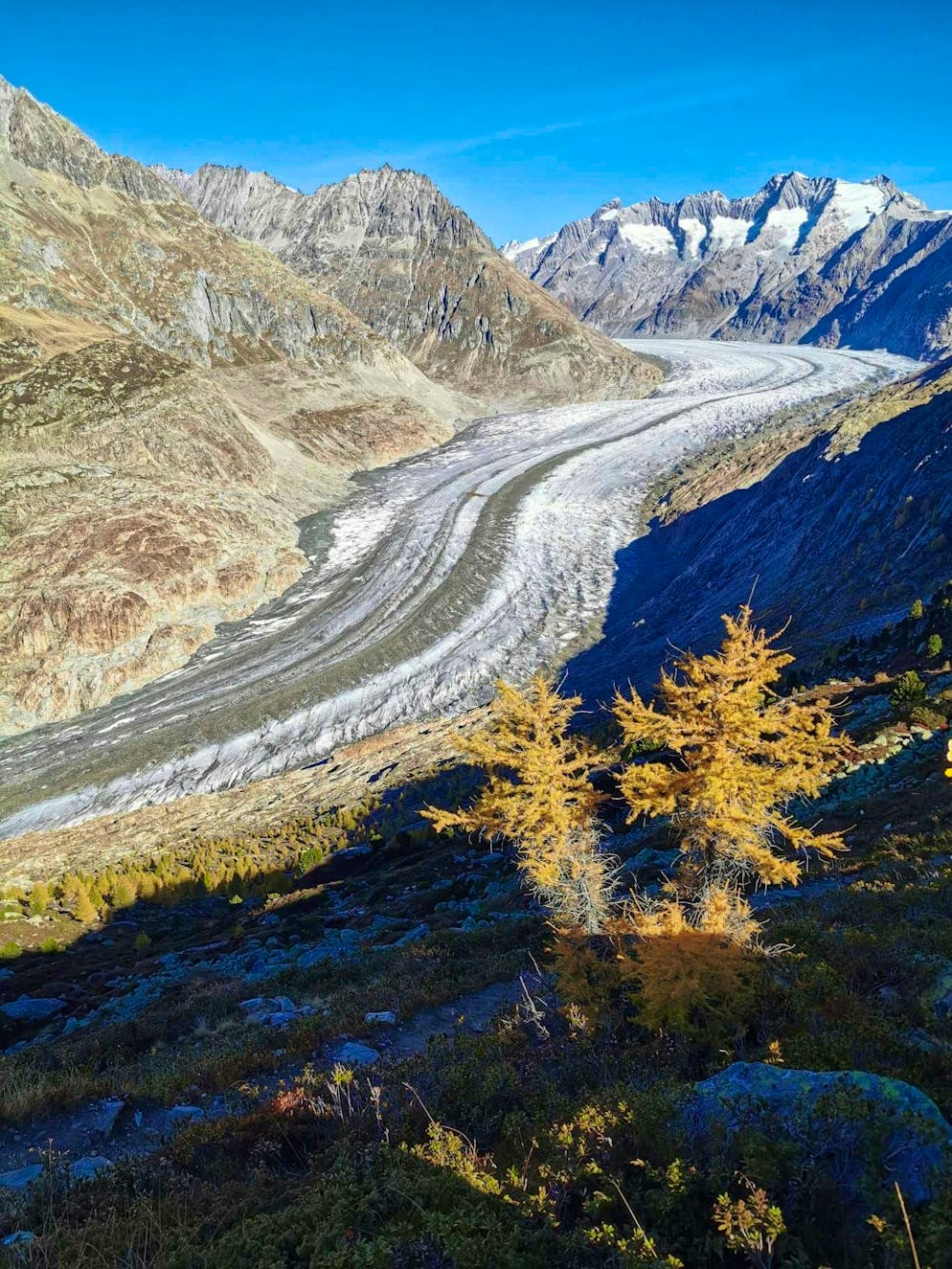 Autumn pictures 2025: These are the pictures of blue News readers. Beat has a clear view of the Aletsch Glacier.