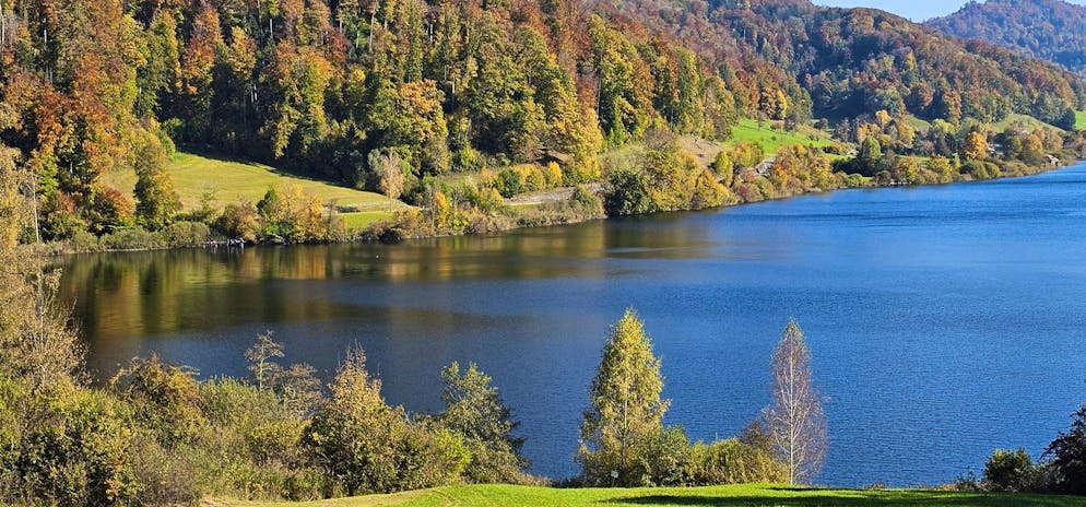 Herbstbilder 2025: Das sind die Bilder der blue News Leser*innen. ... wie der Türlersee.