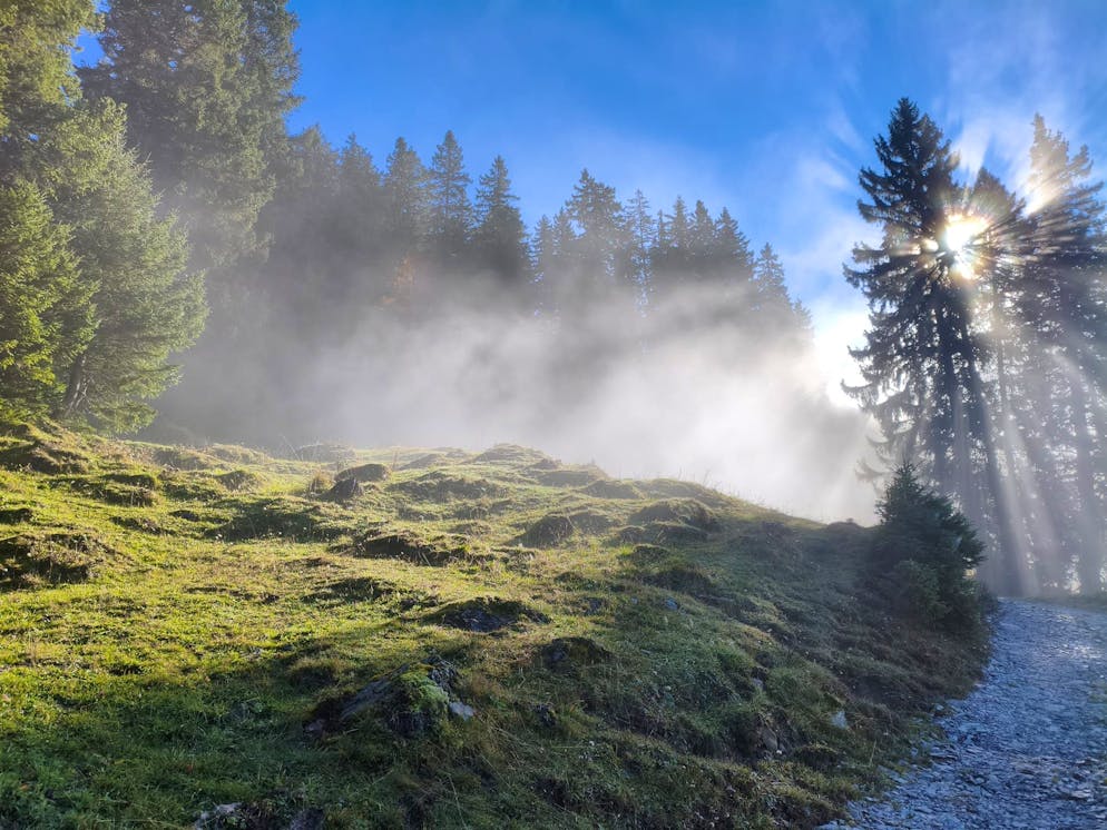 Herbstbilder 2025: Das sind die Bilder der blue News Leser*innen. Auf diesem Foto bricht die Sonne durch den Nebel.