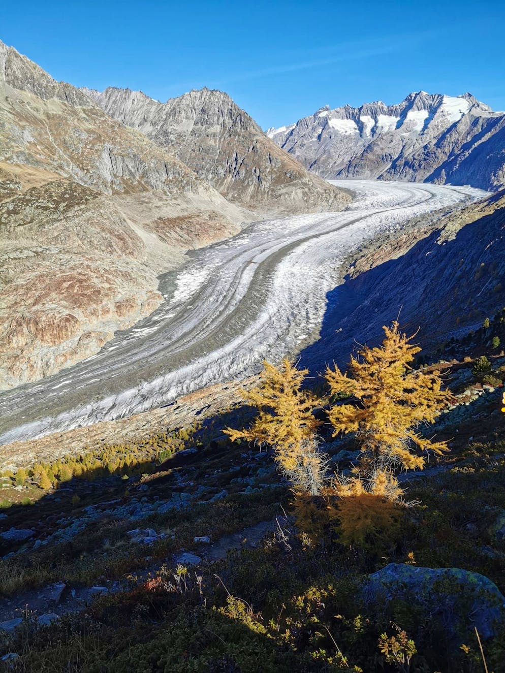 Herbstbilder 2025: Das sind die Bilder der blue News Leser*innen. Beat hat klare Sicht auf den Aletschgletscher.