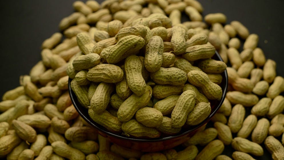 Seit 2015 geht in den USA die Zajl der Kinder zurück, die an Erdnussallergie leiden.