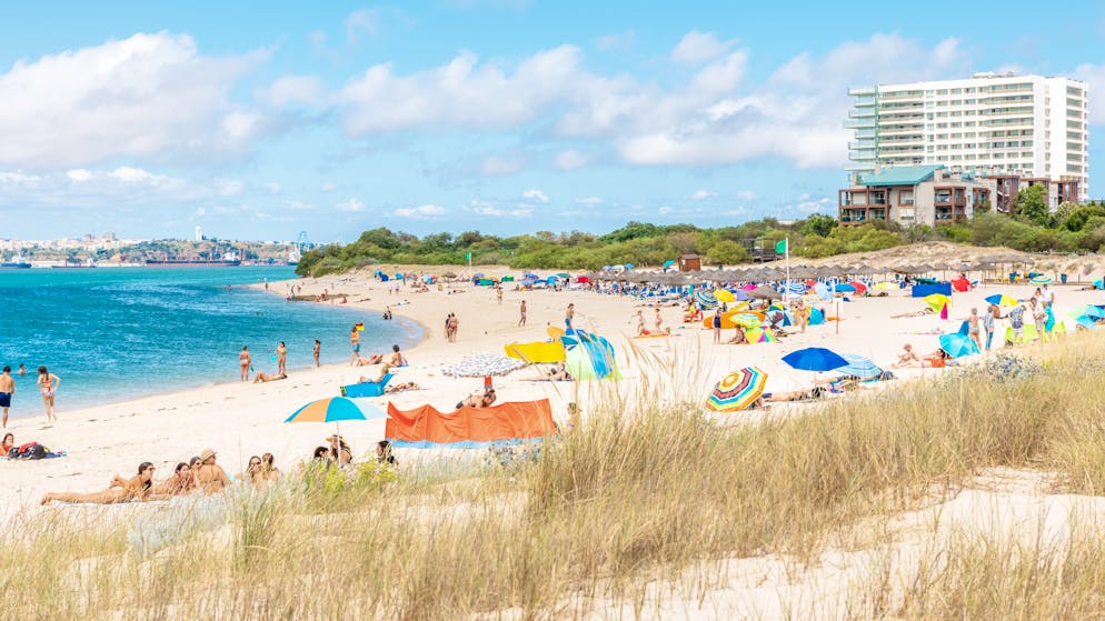 La région de Comporta se transforme en un nouveau refuge idyllique pour célébrités et touristes fortunés.