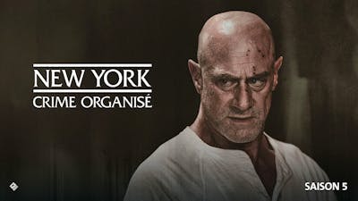 NEW YORK, CRIME ORGANISÉ – SAISON 5 