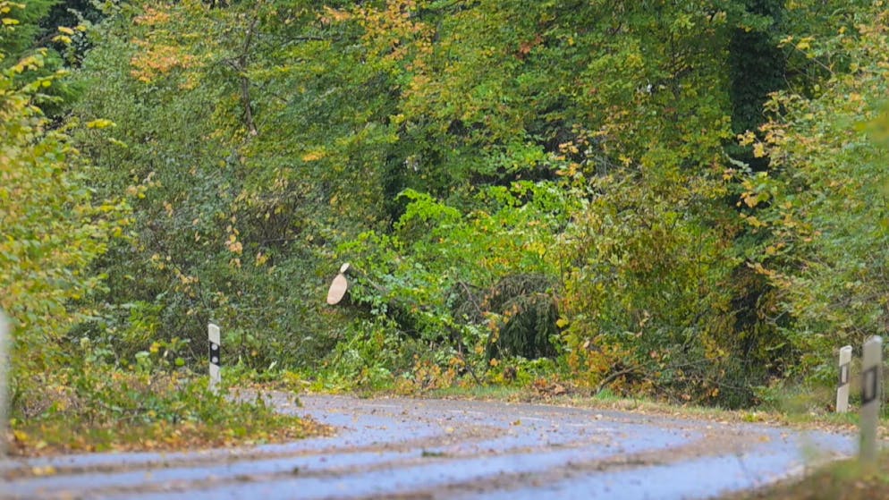 Mehrere Bäume stürzten auf die Strasse. 