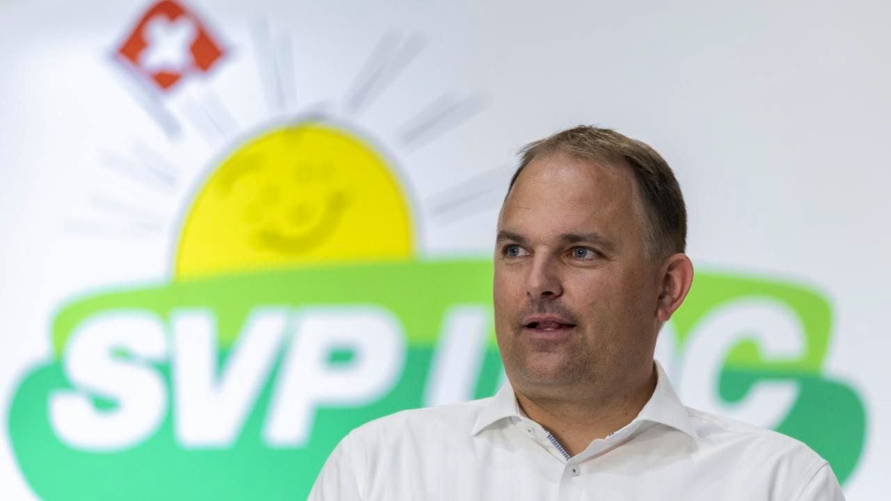 Political parties. SVP President Dettling swears party in to say no to EU treaties