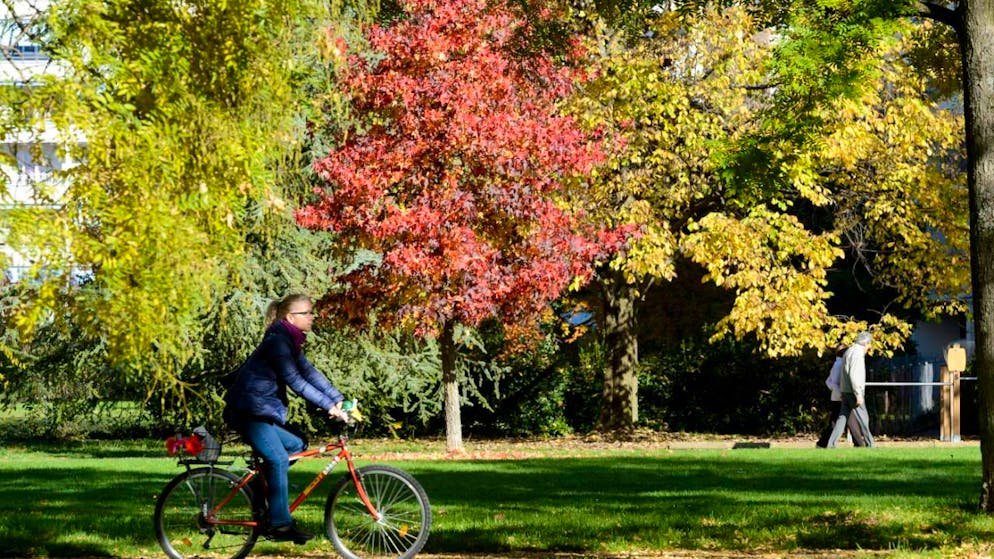 Rouler en automne est un plaisir de jour. Avec la nuit qui tombe de plus en plus tôt, les risques d'accidents augmentent fortement.