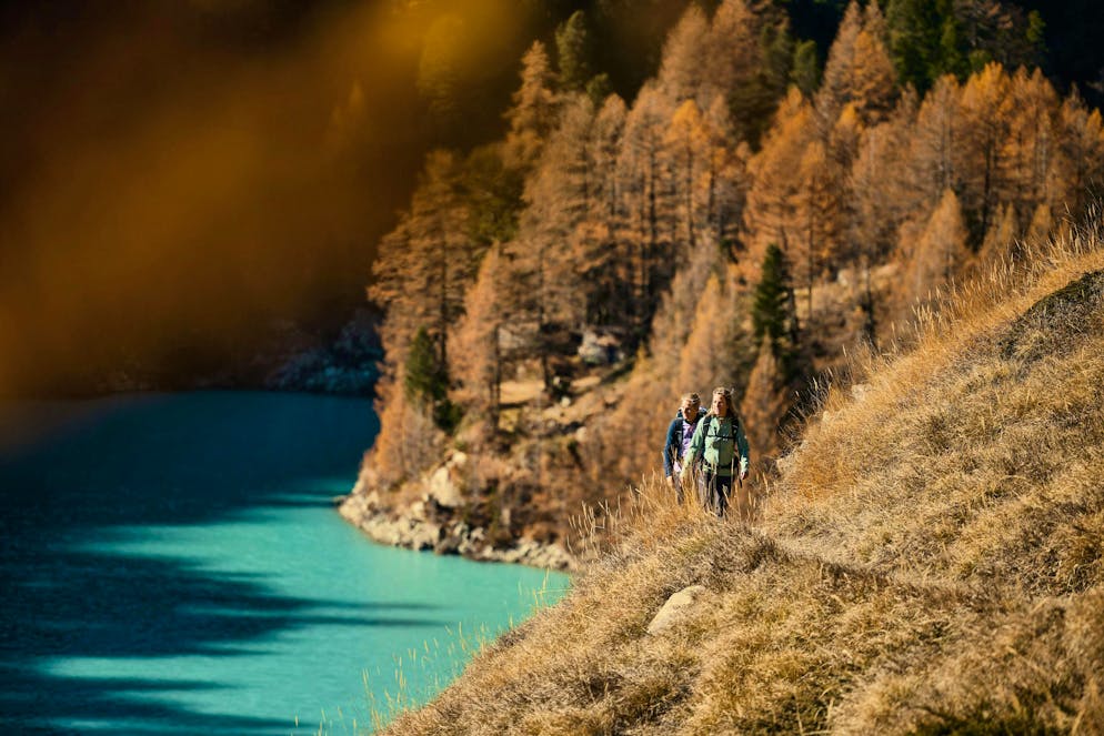 Zermatt: in armonia con la natura. Il tripudio di colori giallo-oro incanta la regione di Zermatt in autunno.