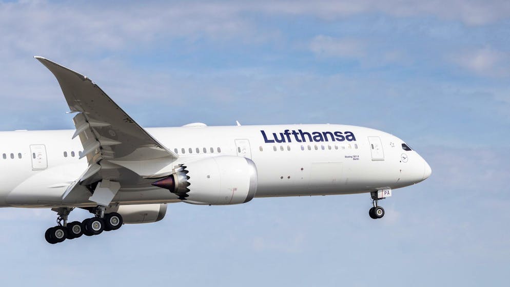 Up to ten years in prison. Man attacked passengers on a plane with a metal fork