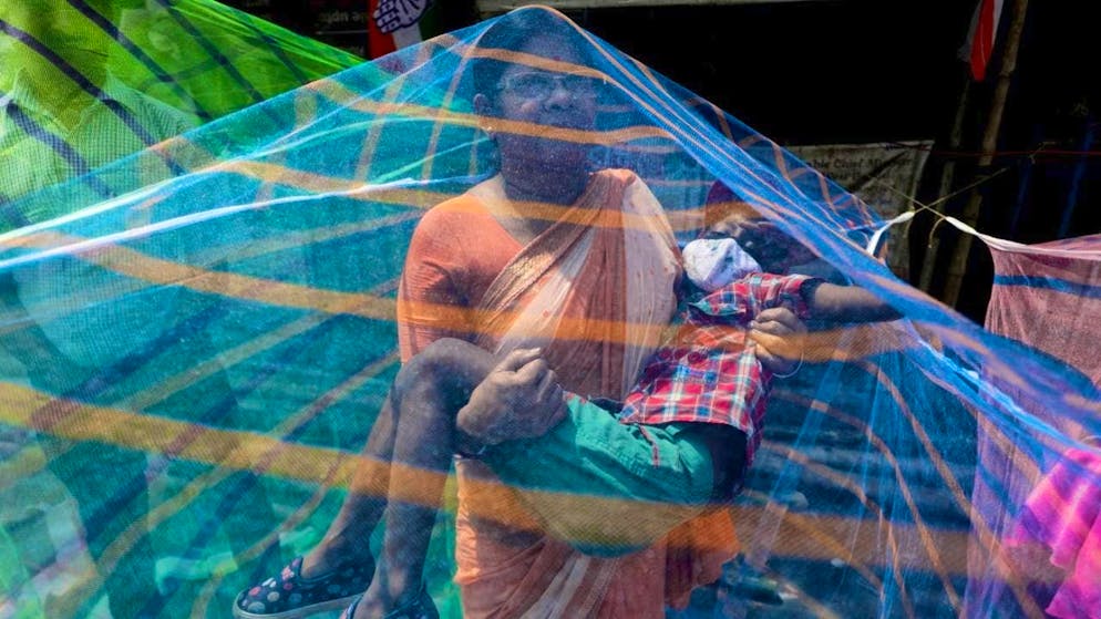 Malaria is a major problem in many regions. (symbolic image)