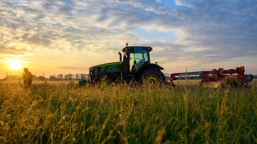 Cette année la culture des petits pois a particulièrement souffert de la chaleur de juin.