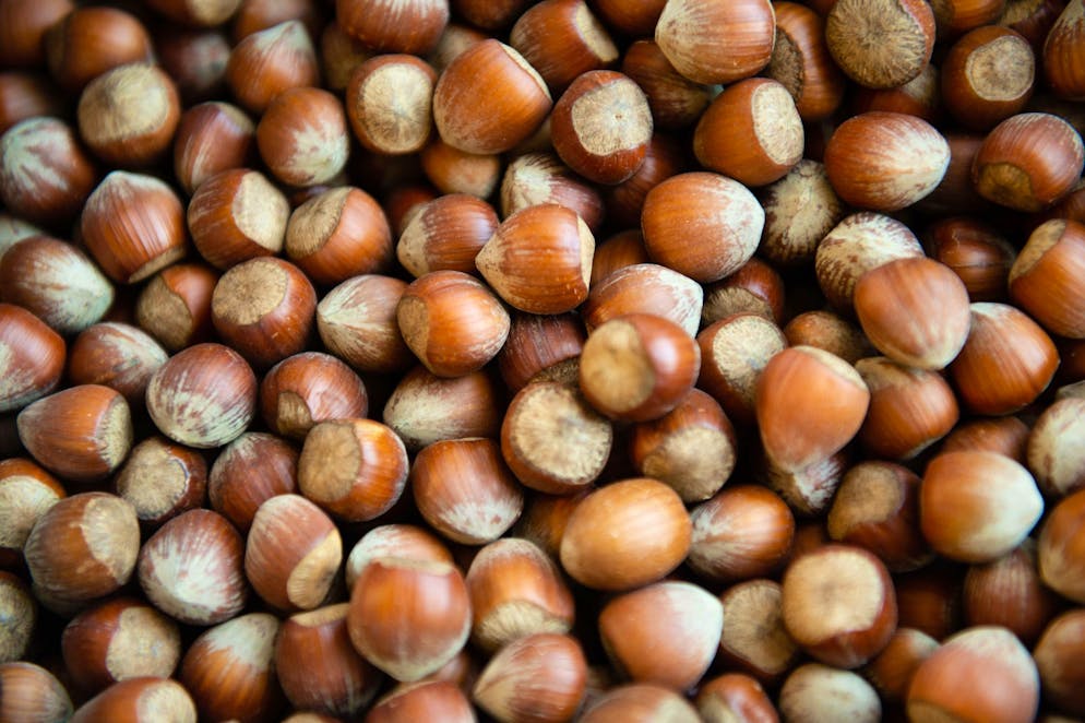 Weniger Haselnüsse aus Italien: Wird Nutella teurer? - Gallery. Die Haselsnussernte ist in Italien so schlecht ausgefallen wie seit Jahrzehnten nicht mehr. (Archivbild)