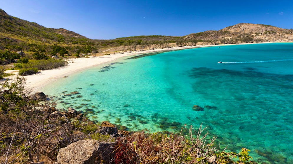 Le autorità indagano. Nave da crociera dimentica su un'isola australiana una donna, poi ritrovata morta