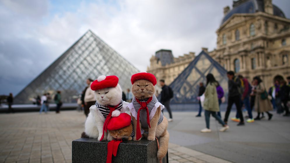 Deux malfaiteurs inculpés.... Dix jours après le spectaculaire vol au Louvre, voici ce que l’on sait
