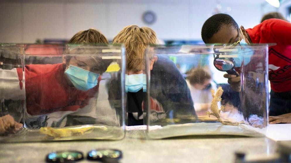 Skills in STEM fields are mainly attributed to boys and men. (Archive image)