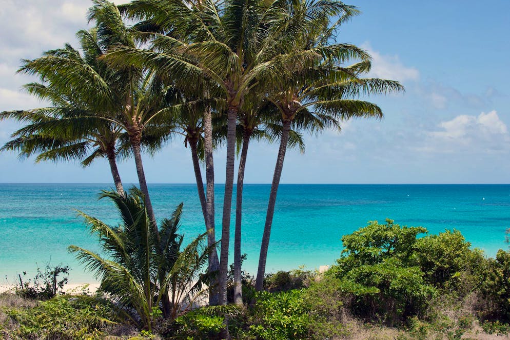 La donna è morta dopo che la nave da crociera l'ha dimenticata su Lizard Island (foto d'archivio).