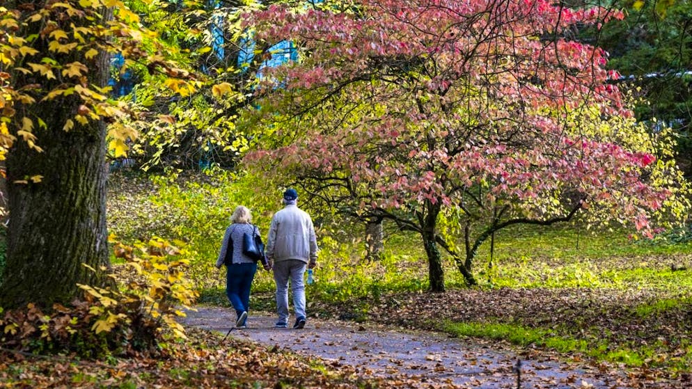 According to a study, just a few thousand steps a day can slow the progression of Alzheimer's disease. (archive image)