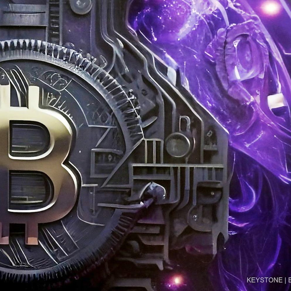 Falsche Plattformen. EU-Ermittler heben Bande von Krypto-Betrügern aus