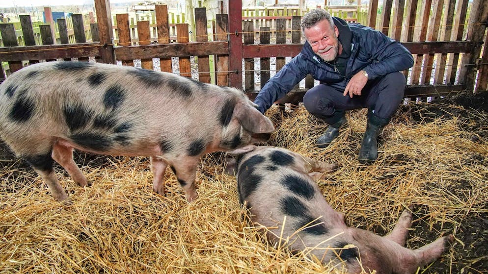 Und am Ende stand Jenke von Wilmsdorff vor der Frage: Elsa und Schmali schlachten oder am Leben lassen?