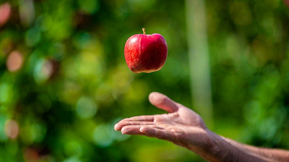 Circadian rhythm: How our inner clock ticks. Need a little sugar boost in the afternoon? Then reach for fresh fruit rather than a chocolate bar. Fruit should be eaten separately from other meals anyway - and it provides you with the ideal energy boost before exercise.