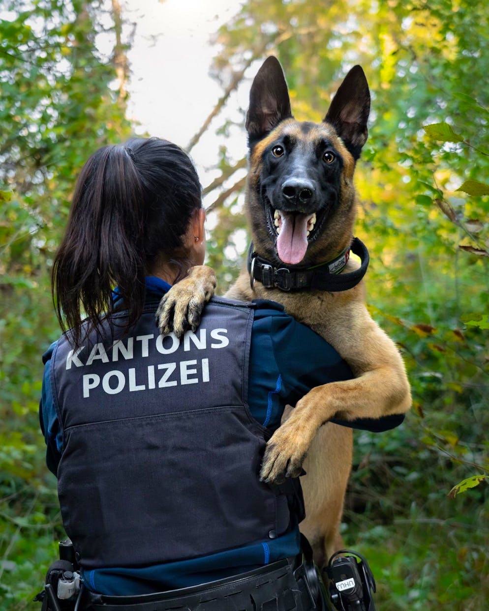 Der Polizeihund «Malouk».