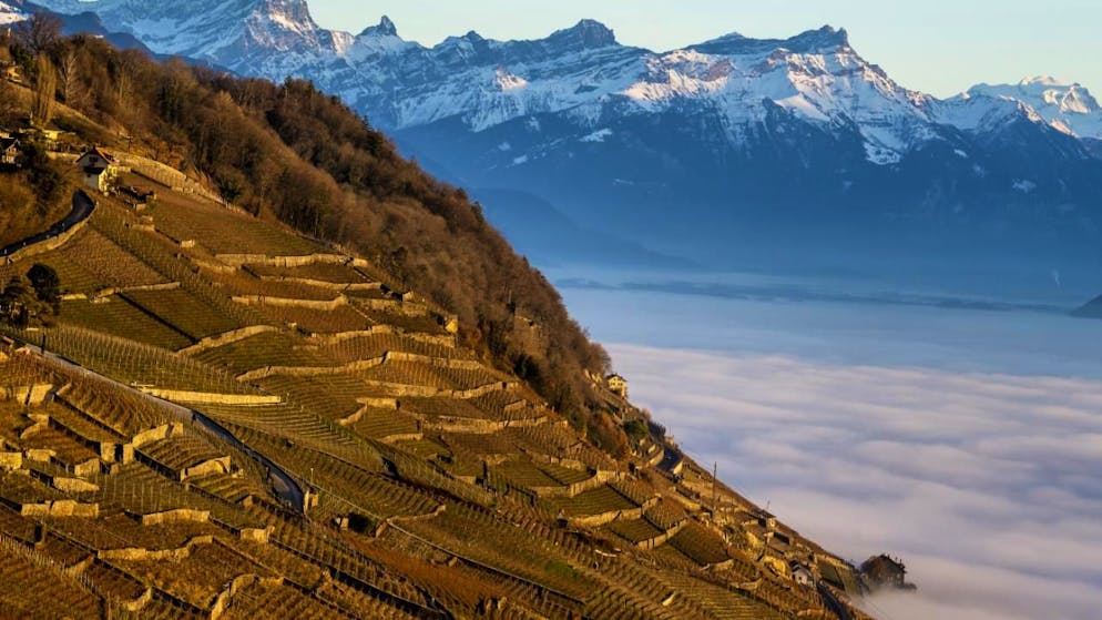 Le Grand Conseil vaudois lance la mise à l'enquête publique complémentaire pour le PAC Lavaux (archives).