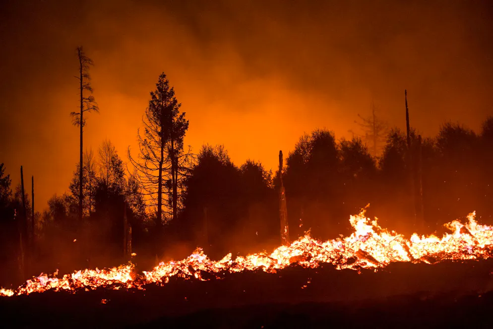 Die Waldbrandgefahr steigt mit dem Klimawandel, da Dürren häufiger werden. (Illustration)