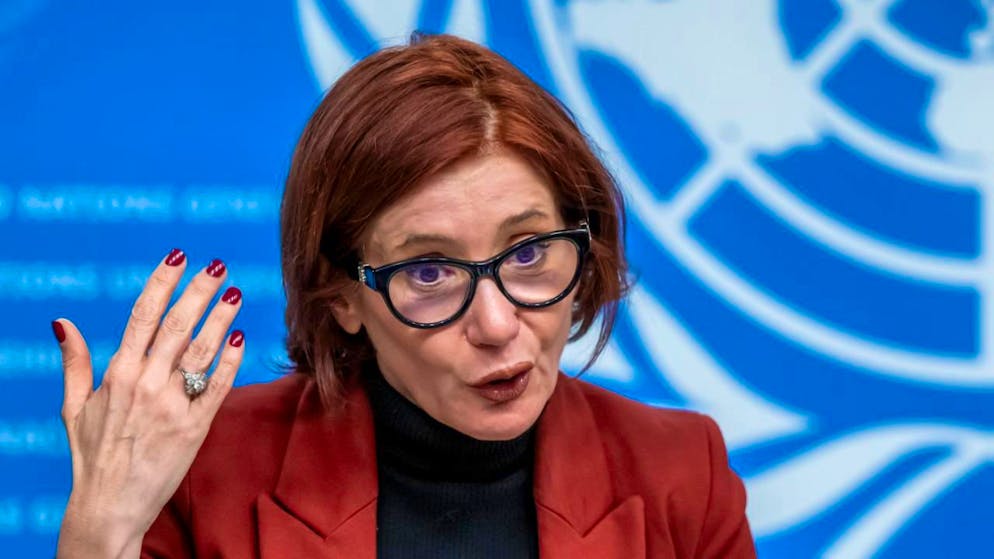 Climat. Les forêts de l'hémisphère nord grandissent mais sont menacées