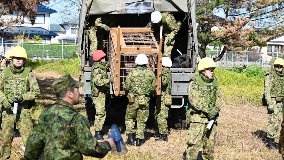 Mercredi, une équipe de 15 soldats a été déployée pour aider à déplacer un piège dans la ville de Kazuno.