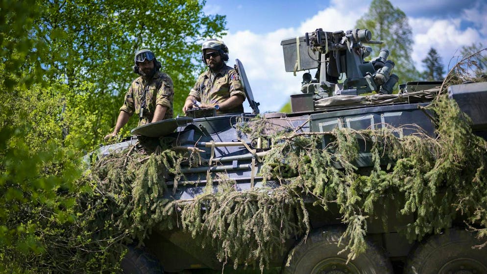 Al voto il 30 novembre. Ecco tutto quello che c'è da sapere sull'iniziativa Servizio civico