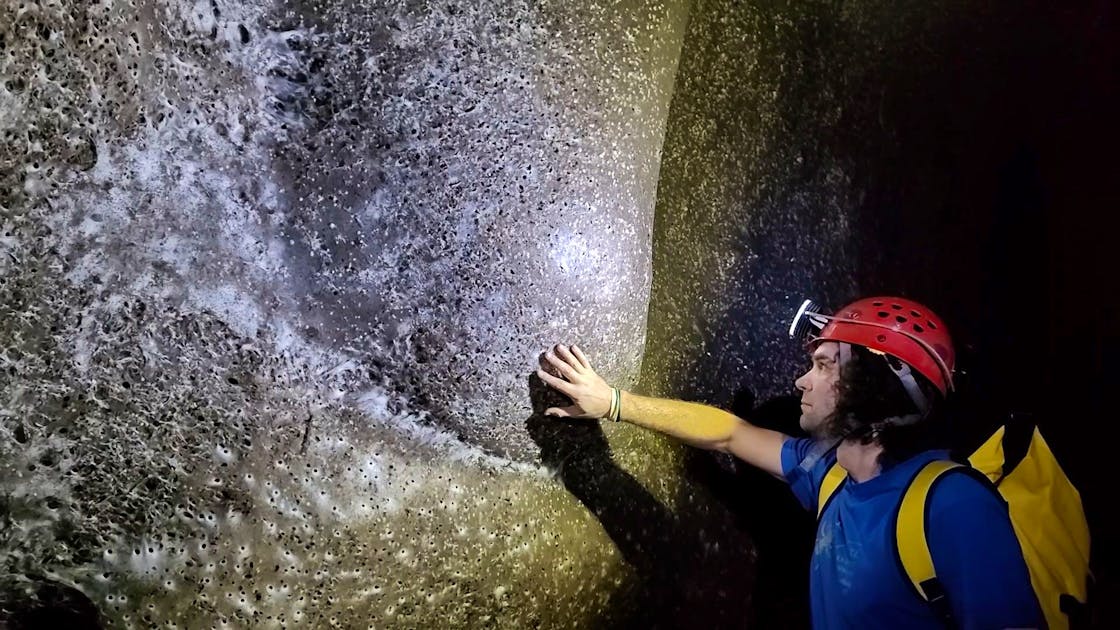 World's largest spider web discovered in Southeast Europe