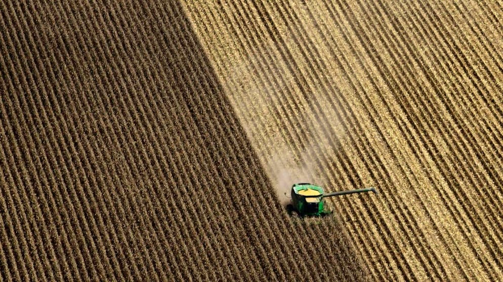 Gli Stati Uniti, il più grande produttore mondiale di mais, potrebbero vedere i raccolti diminuire di un terzo in alcune regioni entro la metà del secolo. (Immagine simbolica d'archivio)