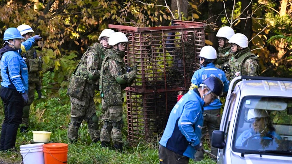 En plus de l'armée, la police vient d'être autorisée à abattre des ours à l'aide de fusils (archives).