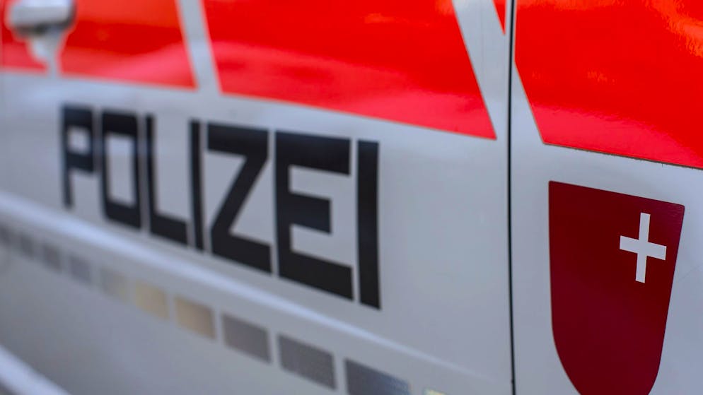 Er machte einen entscheidenden Fehler. Autofahrer muss 1700 Franken bezahlen – wegen einer Biene