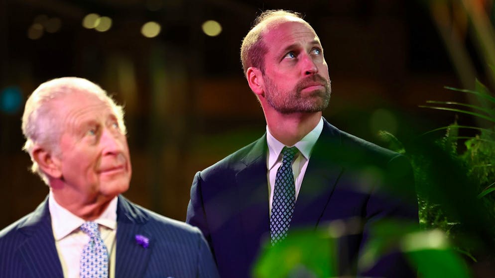 Nuove rivelazioni. Litigi all'ordine del giorno fra re Carlo e il principe William, ecco di cosa discutono